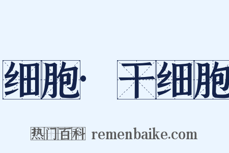 细胞·干细胞是什么意思的图片